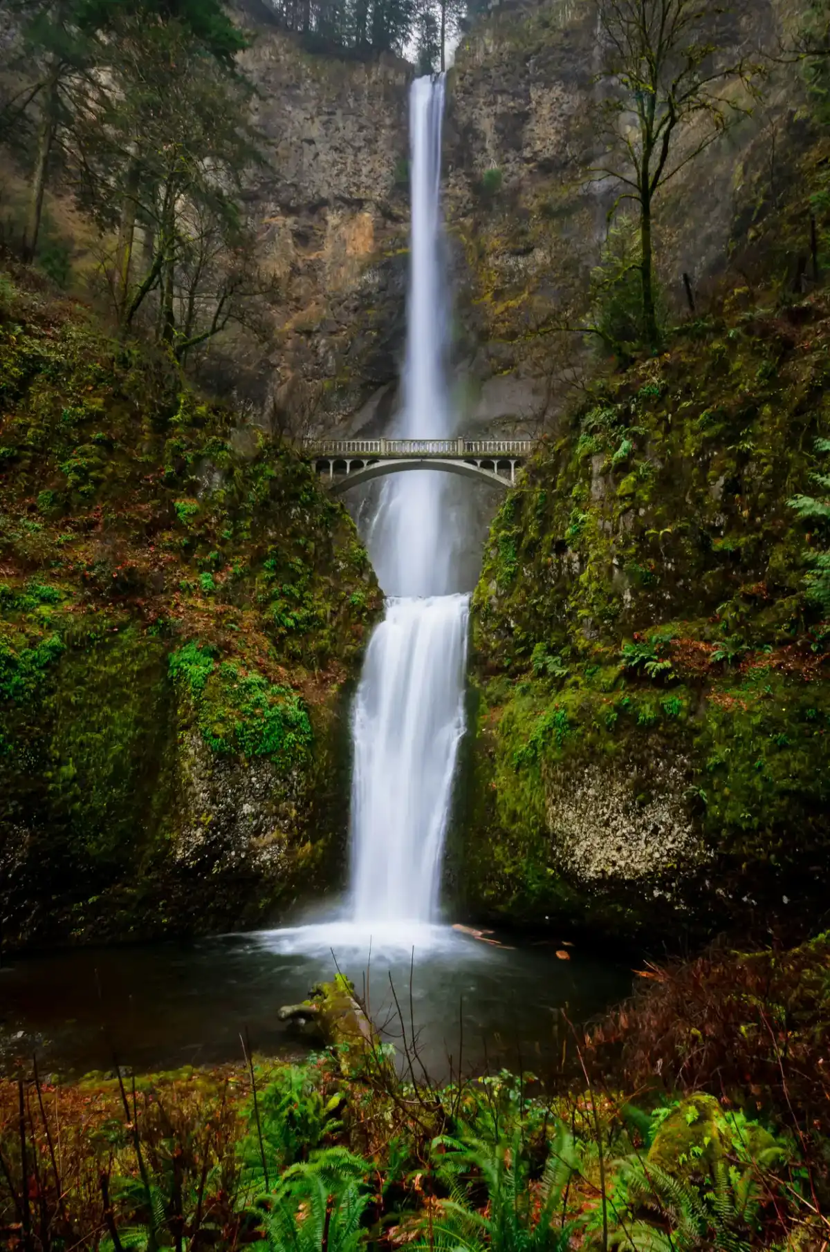 Waterval in een bos, kalmerende soundscape